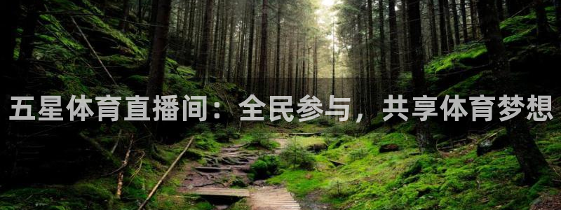 五星体育直播间：全民参与，共享体育梦想