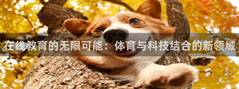 在线教育的无限可能：体育与科技结合的新领域