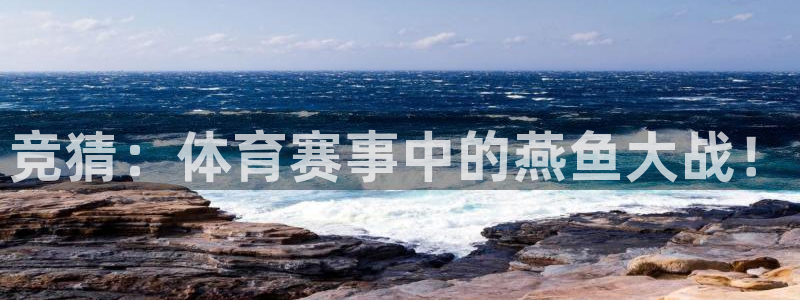 竞猜：体育赛事中的燕鱼大战！