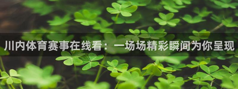 川内体育赛事在线看：一场场精彩瞬间为你呈现