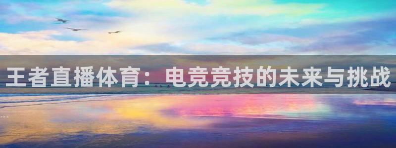 王者直播体育：电竞竞技的未来与挑战