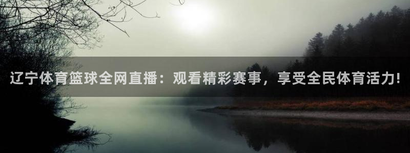 辽宁体育篮球全网直播：观看精彩赛事，享受全民体育活力!
