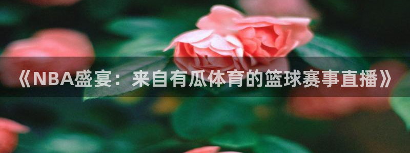 《NBA盛宴：来自有瓜体育的篮球赛事直播》