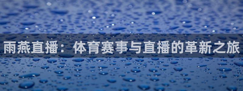 雨燕直播：体育赛事与直播的革新之旅