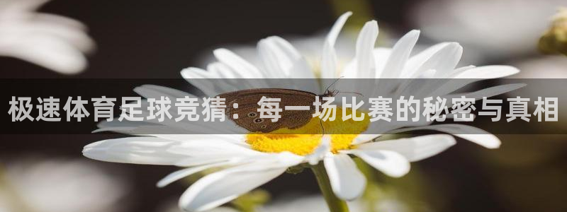 极速体育足球竞猜：每一场比赛的秘密与真相