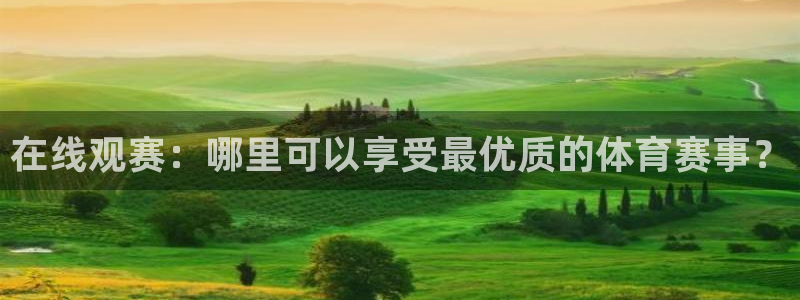 在线观赛：哪里可以享受最优质的体育赛事？