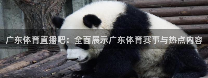 广东体育直播吧：全面展示广东体育赛事与热点内容