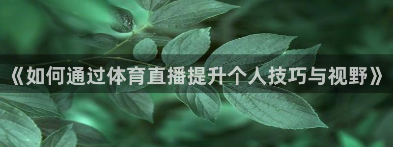 《如何通过体育直播提升个人技巧与视野》
