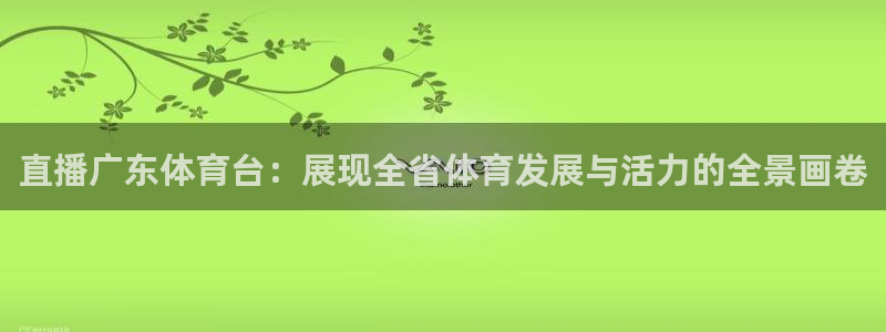 直播广东体育台：展现全省体育发展与活力的全景画卷