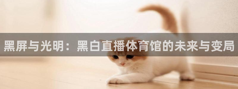 黑屏与光明：黑白直播体育馆的未来与变局