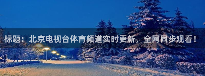 标题：北京电视台体育频道实时更新，全网同步观看！