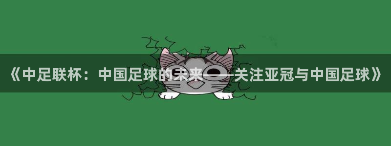 《中足联杯：中国足球的未来——关注亚冠与中国足球》