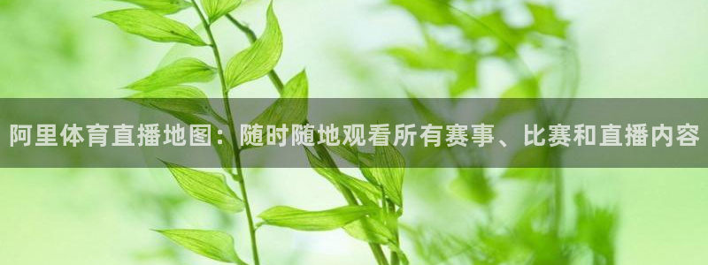阿里体育直播地图：随时随地观看所有赛事、比赛和直播内容