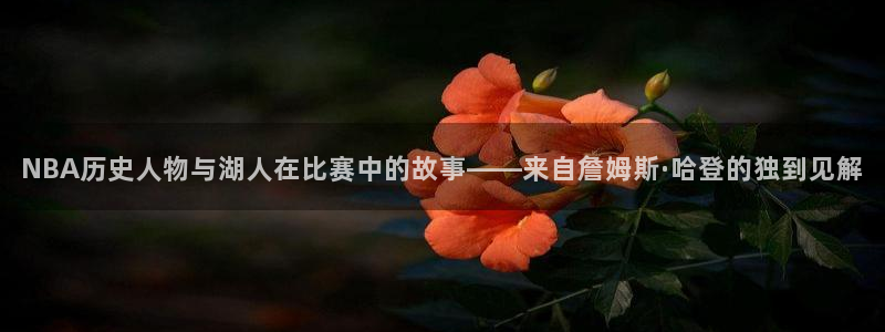 NBA历史人物与湖人在比赛中的故事——来自詹姆斯·哈登的独到见解