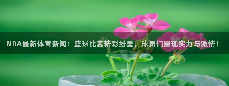 NBA最新体育新闻：篮球比赛精彩纷呈，球员们展现实力与激情！