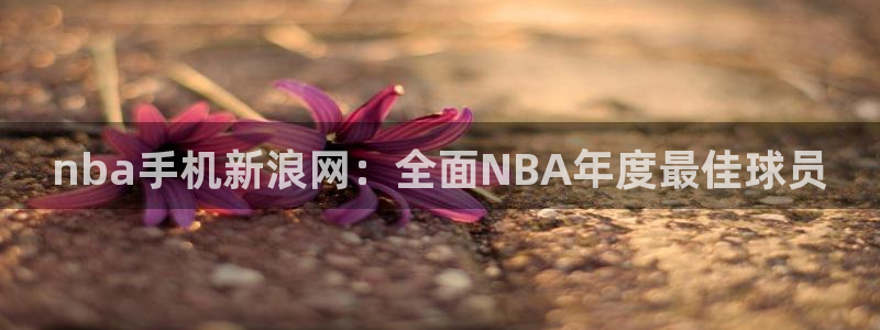 nba手机新浪网：全面NBA年度最佳球员