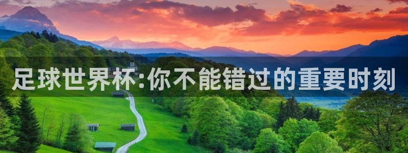 足球世界杯:你不能错过的重要时刻