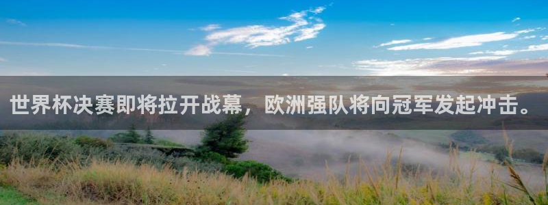 世界杯决赛即将拉开战幕，欧洲强队将向冠军发起冲击。