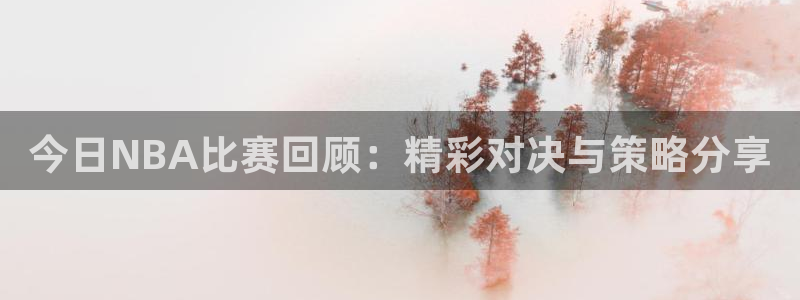 今日NBA比赛回顾：精彩对决与策略分享