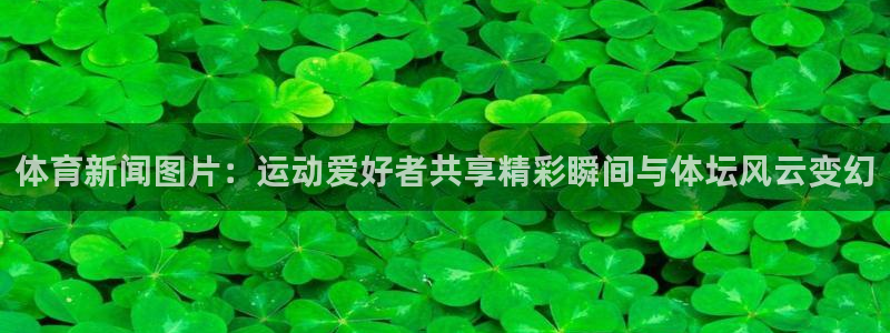 体育新闻图片：运动爱好者共享精彩瞬间与体坛风云变幻