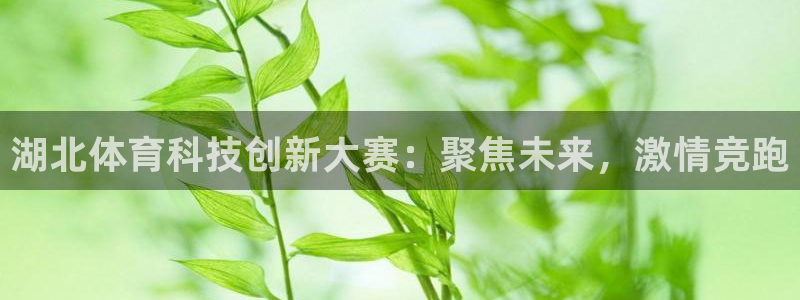 湖北体育科技创新大赛：聚焦未来，激情竞跑