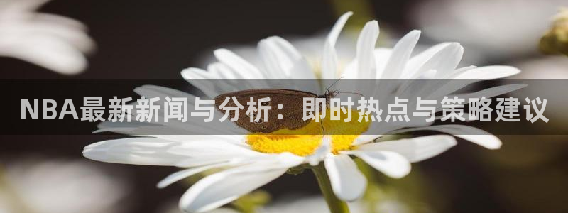 NBA最新新闻与分析：即时热点与策略建议