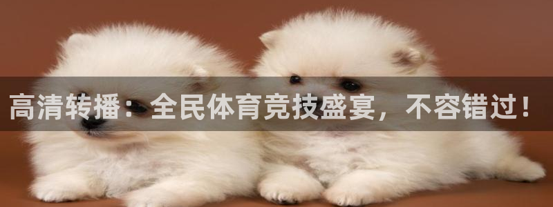 高清转播：全民体育竞技盛宴，不容错过！