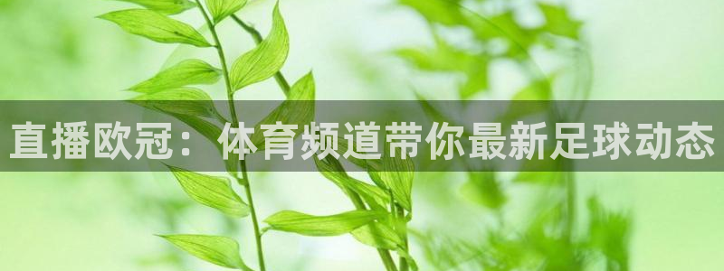 直播欧冠：体育频道带你最新足球动态