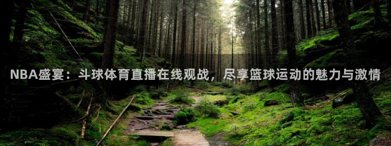 NBA盛宴：斗球体育直播在线观战，尽享篮球运动的魅力与激情