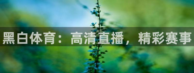 黑白体育：高清直播，精彩赛事