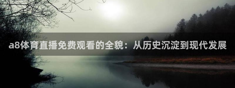 a8体育直播免费观看的全貌：从历史沉淀到现代发展