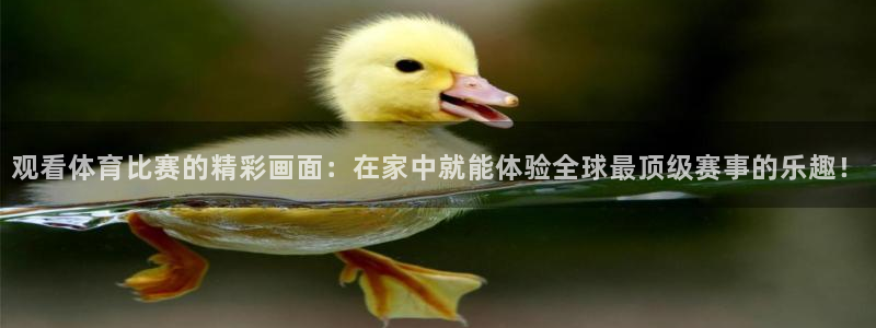 观看体育比赛的精彩画面：在家中就能体验全球最顶级赛事的乐趣！