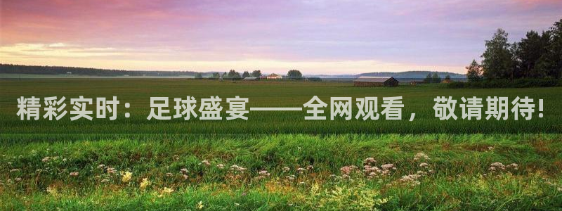 精彩实时：足球盛宴——全网观看，敬请期待!