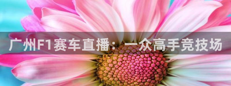 广州F1赛车直播：一众高手竞技场