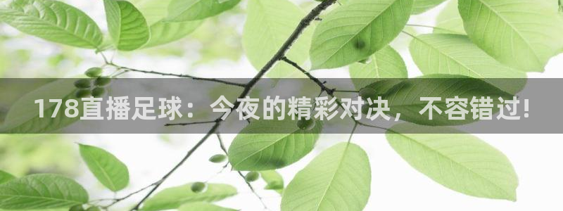 178直播足球：今夜的精彩对决，不容错过!