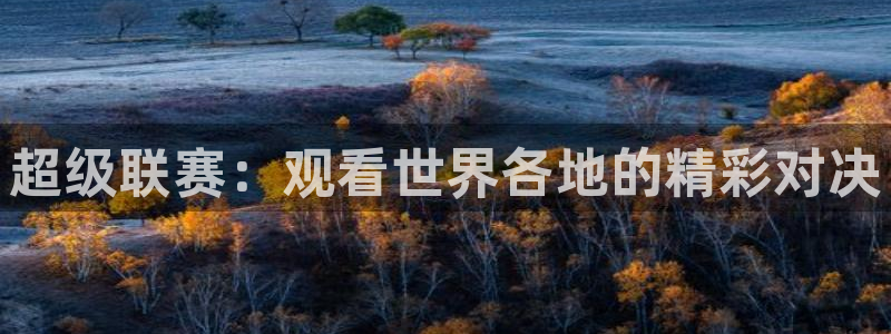 超级联赛：观看世界各地的精彩对决