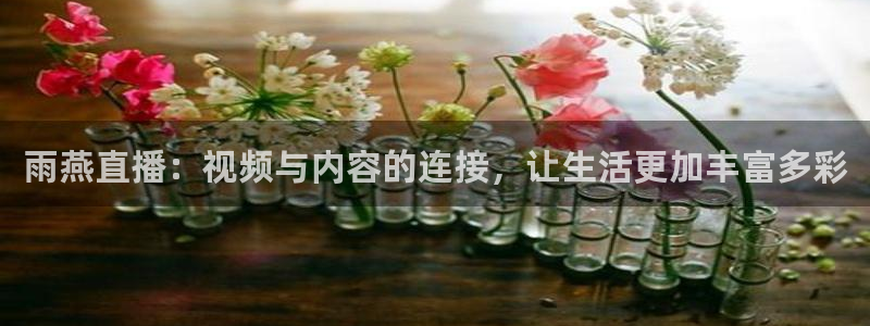 雨燕直播：视频与内容的连接，让生活更加丰富多彩