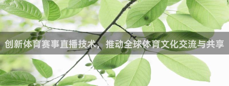 创新体育赛事直播技术，推动全球体育文化交流与共享