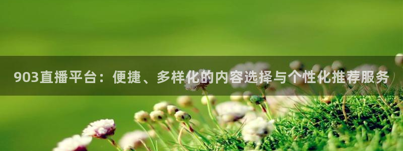 903直播平台：便捷、多样化的内容选择与个性化推荐服务