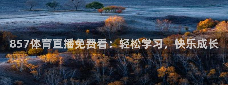 857体育直播免费看：轻松学习，快乐成长