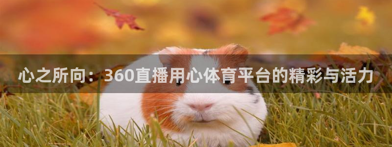 心之所向：360直播用心体育平台的精彩与活力