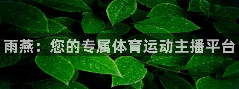 雨燕：您的专属体育运动主播平台