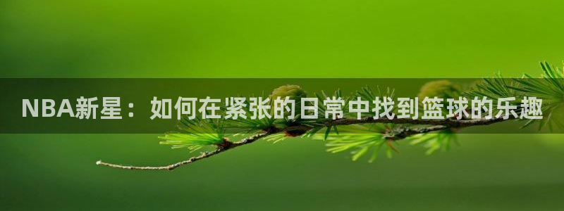 NBA新星：如何在紧张的日常中找到篮球的乐趣