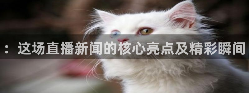 ：这场直播新闻的核心亮点及精彩瞬间