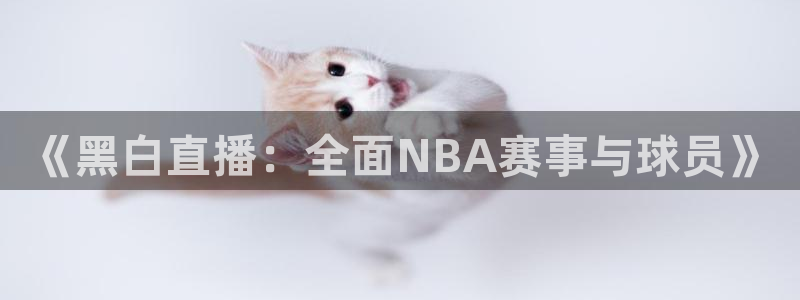 《黑白直播：全面NBA赛事与球员》