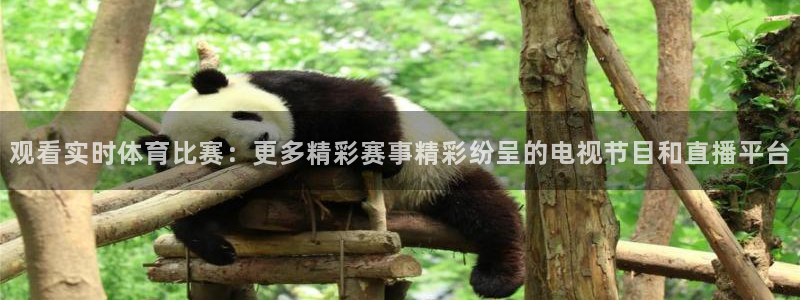 观看实时体育比赛：更多精彩赛事精彩纷呈的电视节目和直播平台