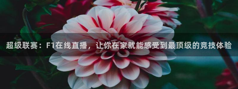 超级联赛：F1在线直播，让你在家就能感受到最顶级的竞技体验