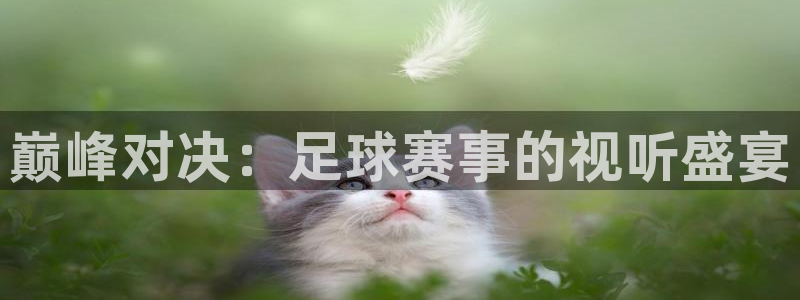 巅峰对决：足球赛事的视听盛宴