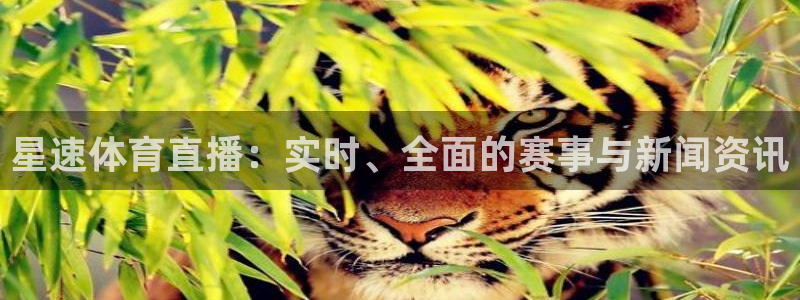 星速体育直播：实时、全面的赛事与新闻资讯
