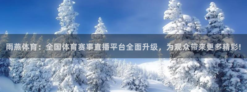 雨燕体育：全国体育赛事直播平台全面升级，为观众带来更多精彩!